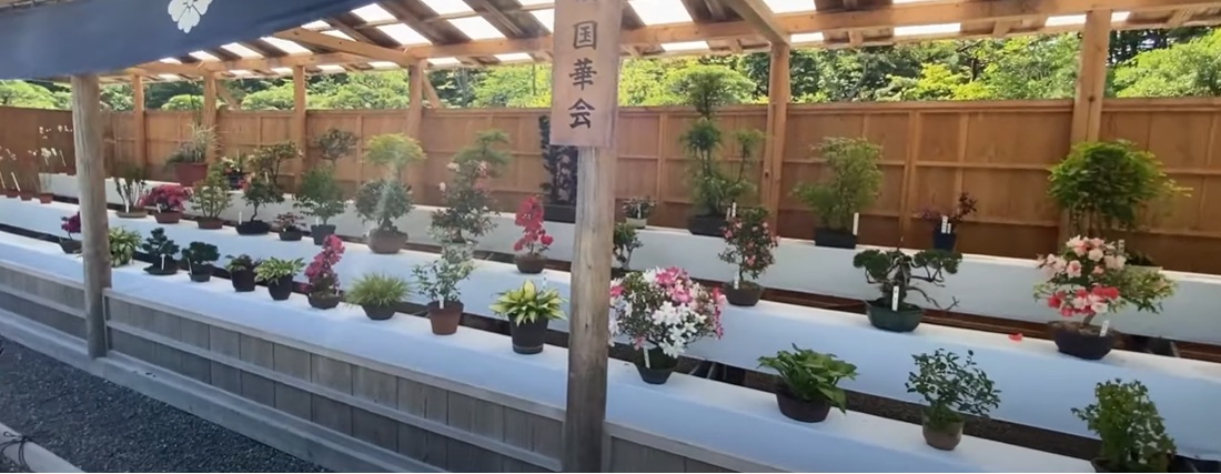 すぐに、神苑があります