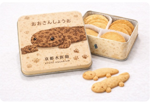 オオサンショウウオ クッキー缶