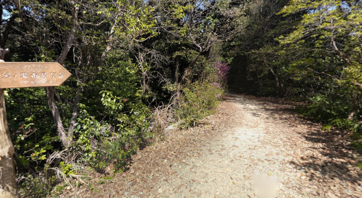 鴻ノ巣山（散策・ハイキング）