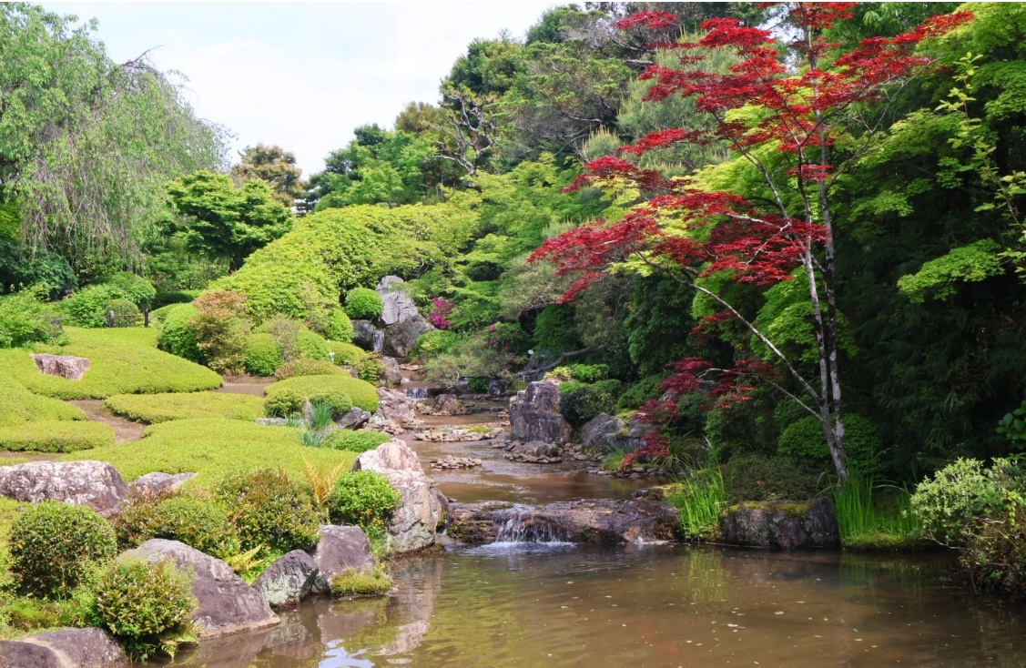 退蔵院の庭園