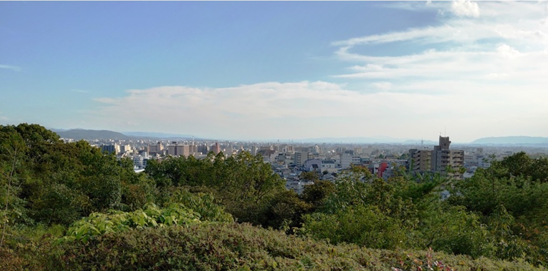 船岡山からの絶景